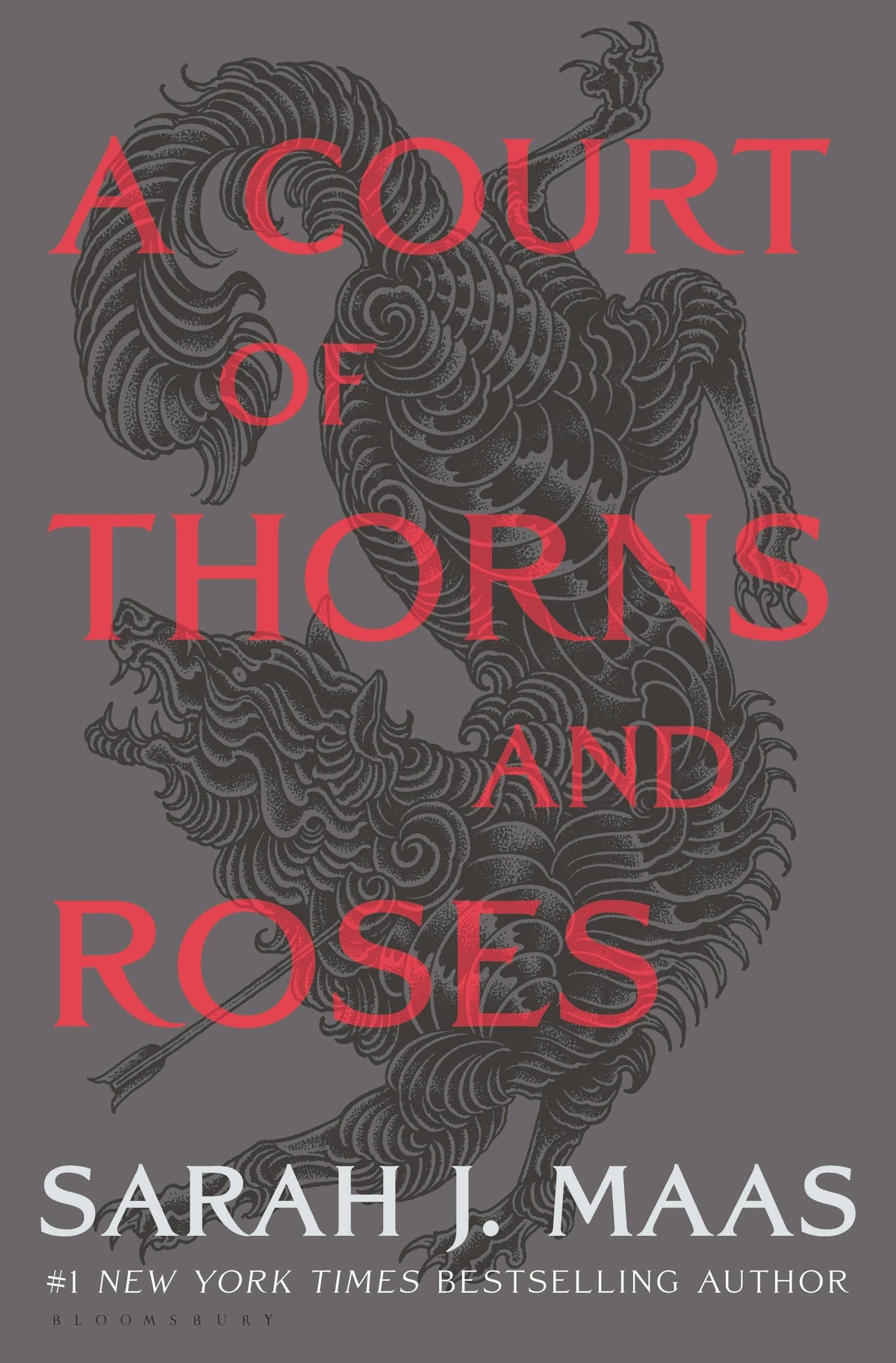 Court Of Thorns Of Roses Adult