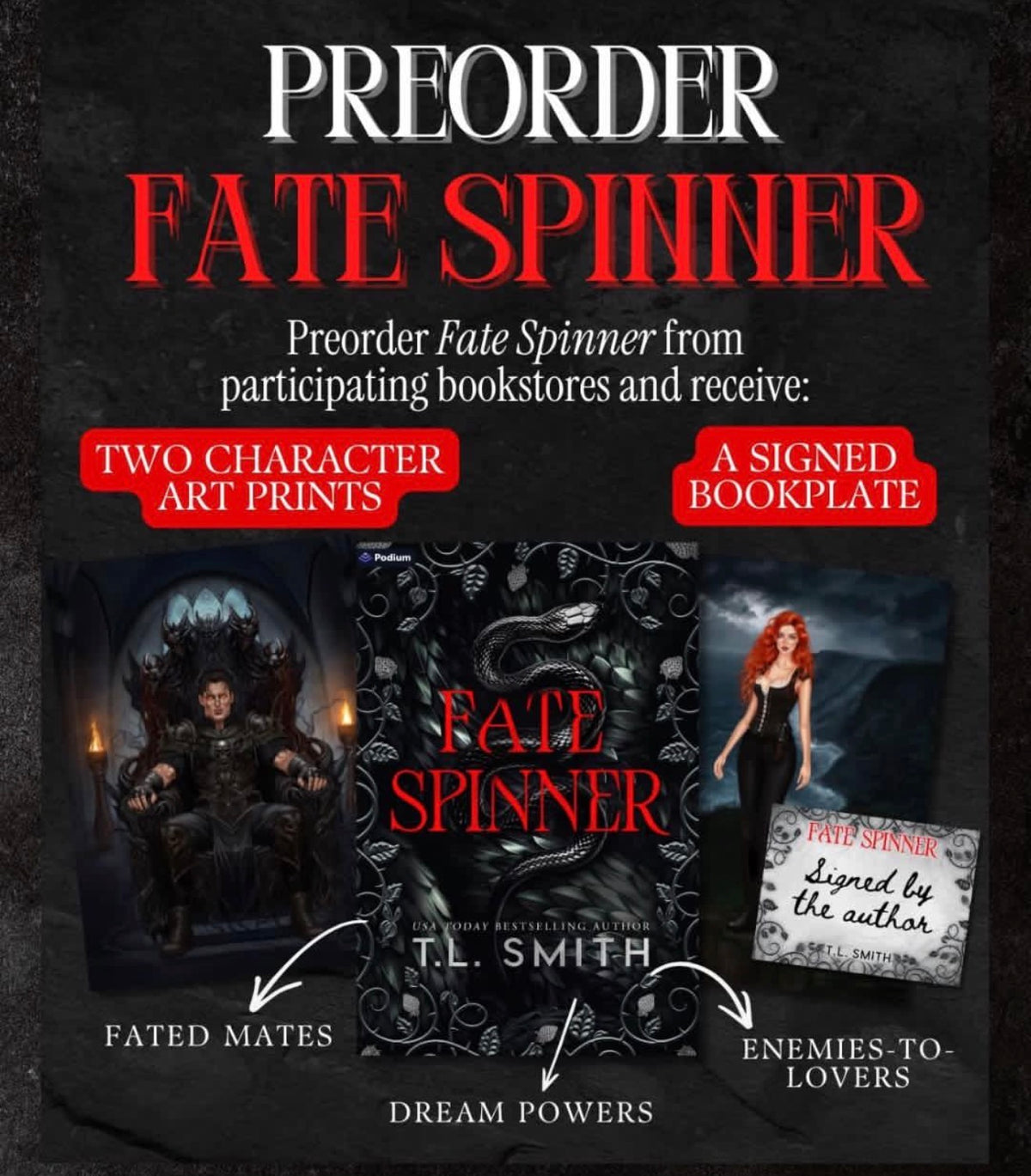 Fate Spinner: A Dark Romantasy (PREORDER)