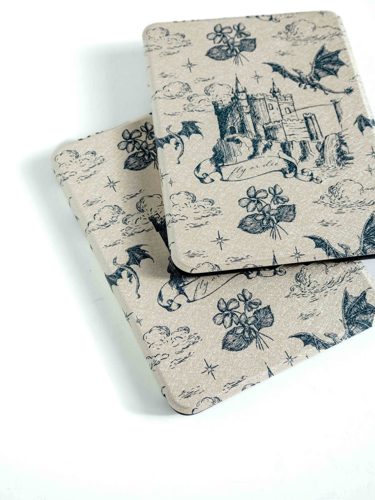 Dragon Academy - Kindle Case: Kindle Paperwhite (12th Gen) / Kindle Colorsoft