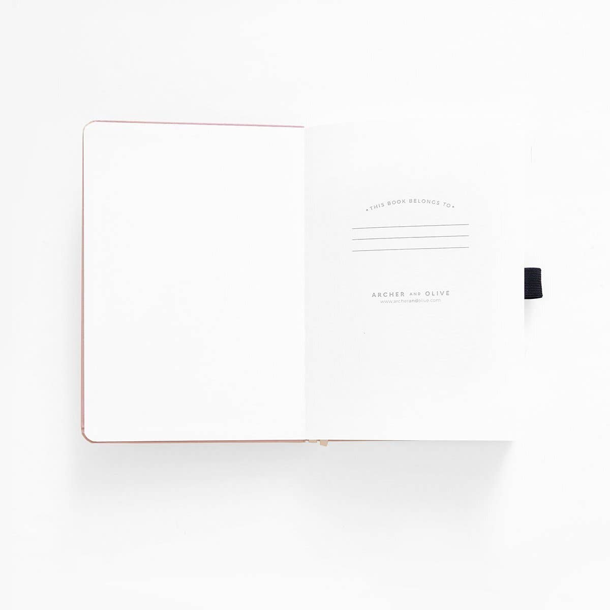 Songbird In Blue Dot Grid Notebook: Dot Grid / B5: 160 Pages