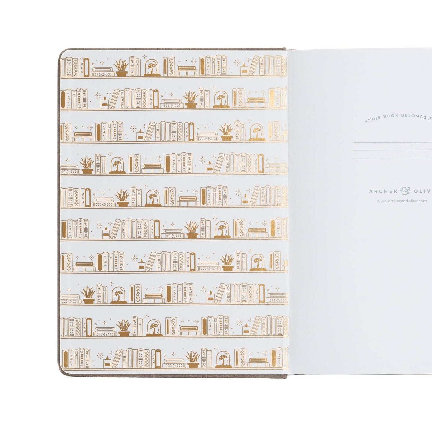 A5 Blank: Bookshelf