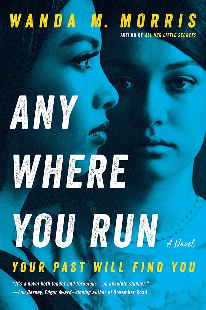 Anywhere You Run: A Novel cover image