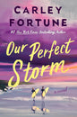 Our Perfect Storm cover image