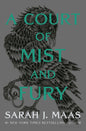 Court Of Mist And Fury Adult
