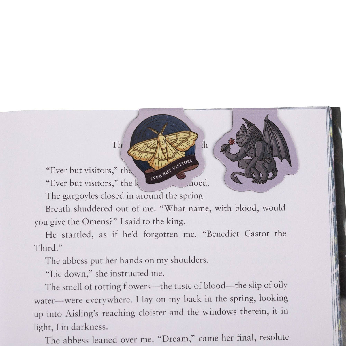 The Knight and the Moth Gift Set