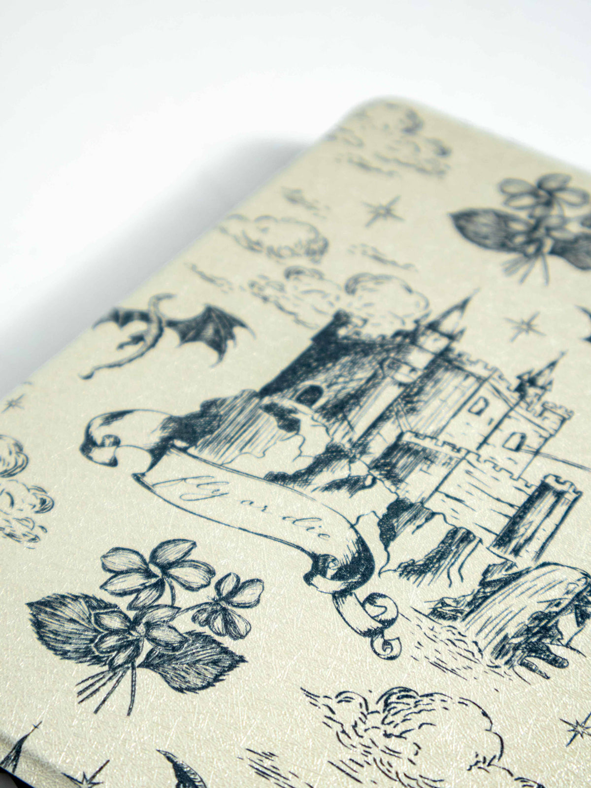 Dragon Academy - Kindle Case: Kindle Paperwhite (12th Gen) / Kindle Colorsoft